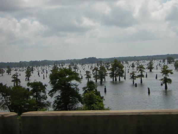 driving through Lousianna