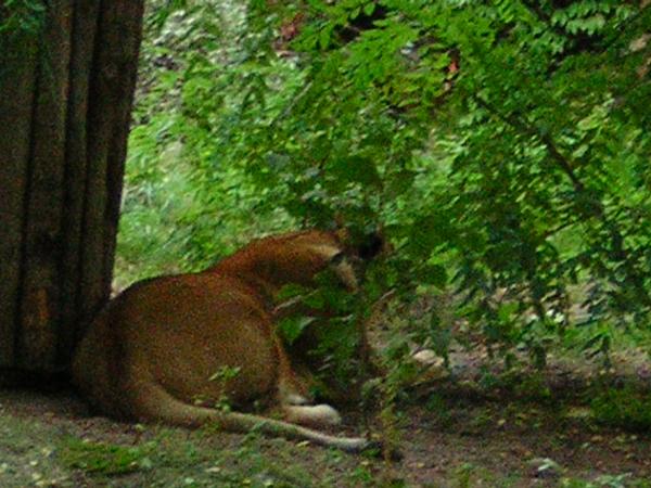 DSCN0707