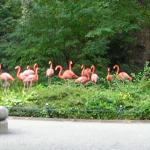 DSCN0708