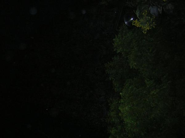 DSCN1652