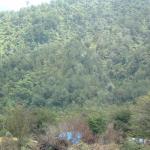 Panorama of the kiwiburn camp ....