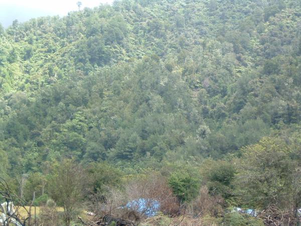 Panorama of the kiwiburn camp ....